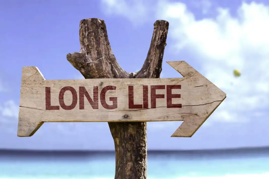 beach sign with an arrow that says long life